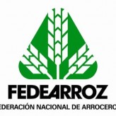 www.fedearroz.com.co